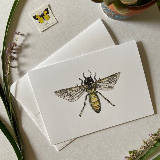 Notecards by Sarah Rose