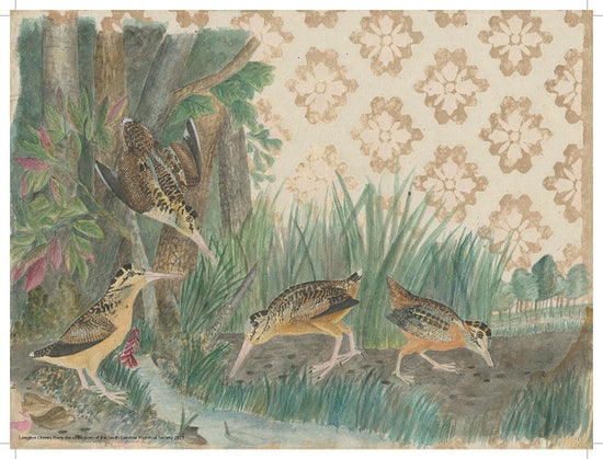 Langdon Cheves, Long Billed Birds Print